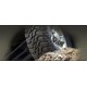 Pneu COOPER DISCOVERER STT PRO 235/85 R16 Cooper Tires - 2