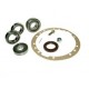 BEARING OVERHAUL KIT DIFF FOR 24 SPILNES Best of LAND - 1