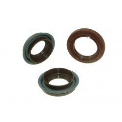 FREELANDER 1 DIFF OIL SEAL KIT