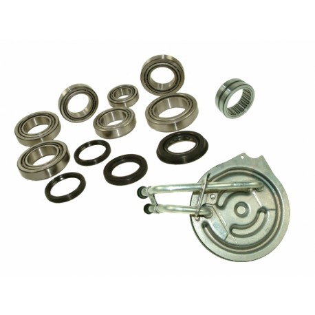 BASIC BEARINGS, COOLING PLATE AND SEALS KIT IRD FREELANDER 1 Best of LAND - 1