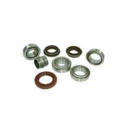 BEARING OVERHAUL KIT REAR DIFF FOR FREELANDER 1 N1