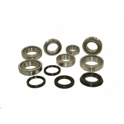 BASIC BEARINGS AND SEALS IRD KIT FOR FREELANDER 1