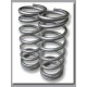 light load rear springs (fits 90/d1/rrc) or heavy load front springs (fits 90/110/130/d1/rrc) 2-inch lift Terrafirma4x4 - 1