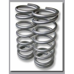 light load rear springs (fits 90/d1/rrc) or heavy load front springs (fits 90/110/130/d1/rrc) 2-inch lift