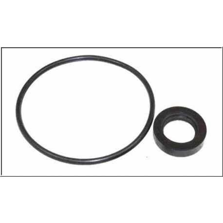 pump seal kit 2,5Td / 200Tdi Allmakes UK - 1