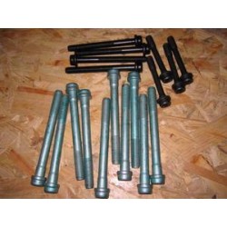 VM cylinder head bolts (18 units)