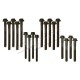 200Tdi cylinder head bolts Britpart - 1