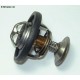 Thermostat 300Tdi OEM - 1