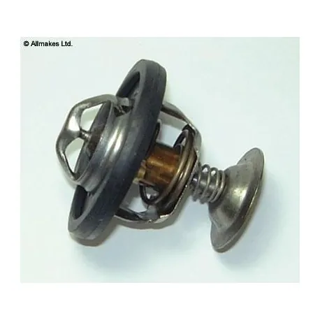Thermostat 300Tdi