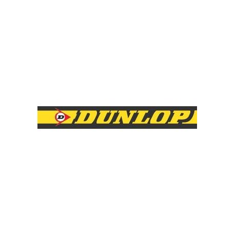 Air spring suspension kit RR P38 Dunlop - 1