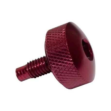 TD5 bleed screw red