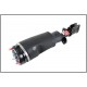 Jambe de suspension / Boudin AV Gauche RR L322 TDV8 - BWI BWI - 1