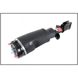 Shock absorber front LH RR L322 TDV8 - BWI BWI - 1