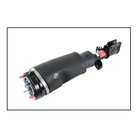 Shock absorber front LH RR L322 TDV8 - BWI