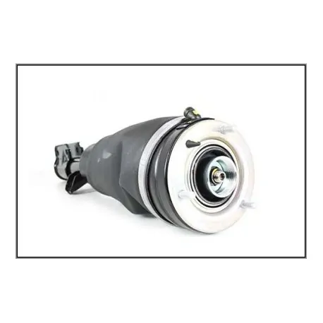 Shock absorber front RH RR L322 3.6 TDV8 - GENUINE
