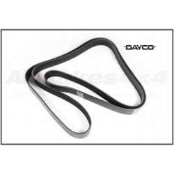 Drive belt Disco 3/ Range rover sport 2.7L TDV6 with ACE Dayco - 1