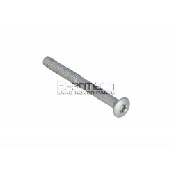 DEFENDER TD4 rear door hinge bolt torx OEM - 1