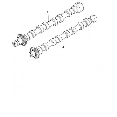 FREELANDER 2 2.2 TD4 inlet camshaft Land Rover Genuine - 1