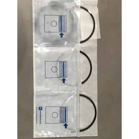 Kit segmentation piston moteur TD5