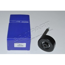 FREELANDER 1 TD4 and L322 TD6 idler pulley belt tensioner - ECO Britpart - 1