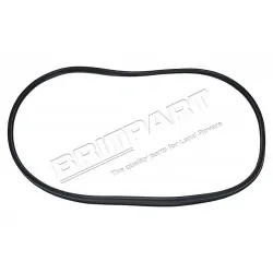 Strip glazing & sealing DEF from 2002 rear door - genuine