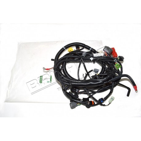 Faisceau moteur pour DEFENDER TD5 avec EGR et Climatisation