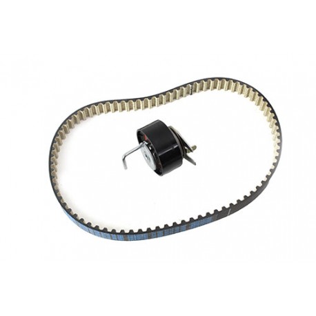 Timing belt kit for 3.0 TDV6 - DAYCO