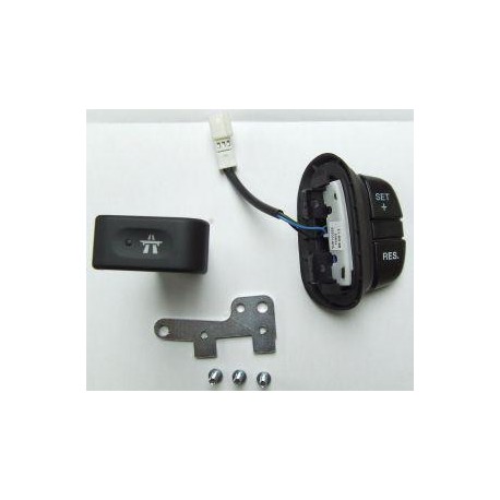 DISCOVERY 2 (1999-2002) cruise control kit