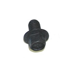 SCREW FOR 300 TDI WATER PUMP PULLEY