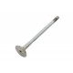 Soupape d'échappement de DEFENDER 2.4 - 2.2 TD4 - GENUINE