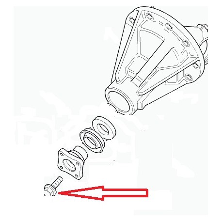 VIS COURONNE DIFFERENTIEL -LR Genuine