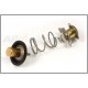 DISCOVERY 3/4, RRS AND L322 V8 PETROL THERMOSTAT