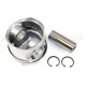 DEFENDER 2.5 TD piston assy 0.020