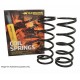 DISCOVERY 2 front coil springs +40 mm - OME