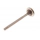 200/300 Tdi Exhaust Valve - Genuine