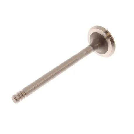 200/300 Tdi Exhaust Valve - Genuine