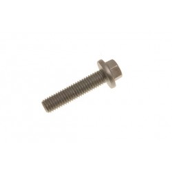 Screw for connector assembly fuel regulator TD5