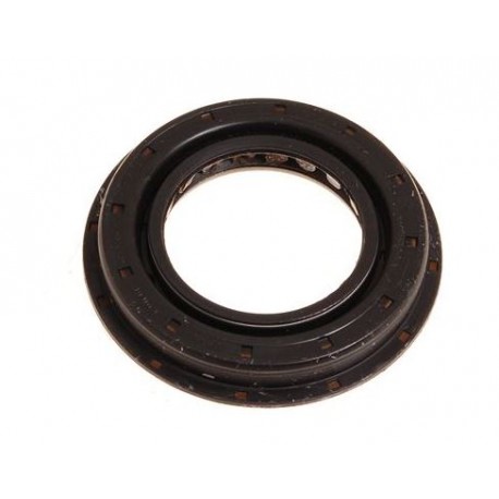 Oil Seal Differential