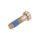 BOLT FOR CALIPER (M 10)