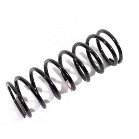 Front LH Discovery 1 300TDI Suspension Springs