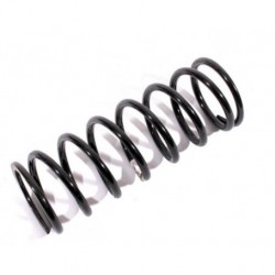 Front rh Discovery 1 300TDI coil spring