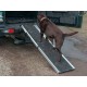 Dog ramp