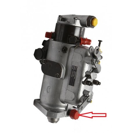 Non return fuel valve injection pump for SERIES
