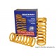 Yellow +2.5cm lift front performance spring