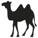 CAMEL STICKER