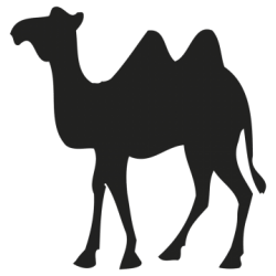 CAMEL STICKER