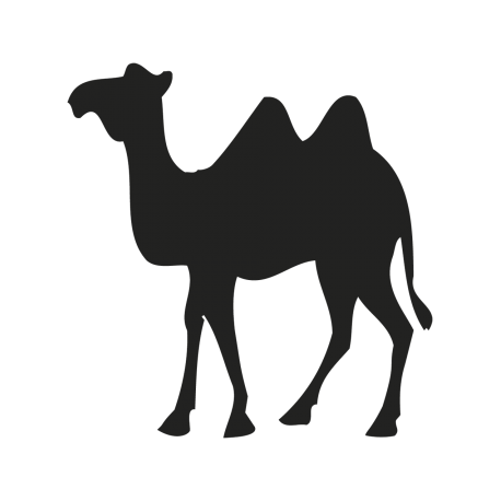 CAMEL STICKER