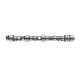 Camshaft 300 Tdi - Genuine