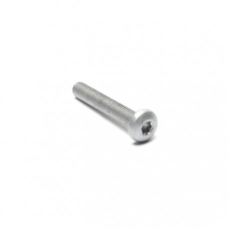 DEFENDER REAR END DOOR SCREW M8X50