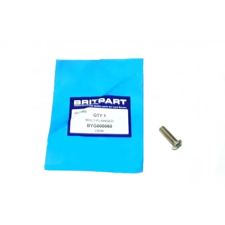 VIS DE CHARNIERE PORTE ARRIERE DE DEFENDER M8X25 TORX